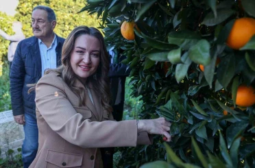 Başkan Vekili Özdemir: "Finike’nin ihtiyaçları doğrultusunda çalışmalarımızı yapıyoruz" 