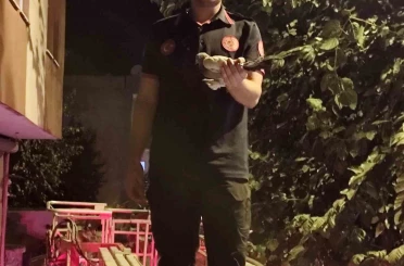 Batman’da ağaçta asılı kalan güvercin itfaiye ekiplerince kurtarıldı 