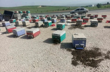 Batman’da araç arızalanınca binlerce arı telef oldu 