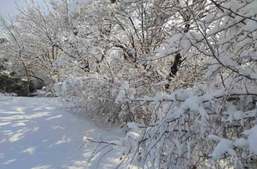 Batman’da kar manzaraları 