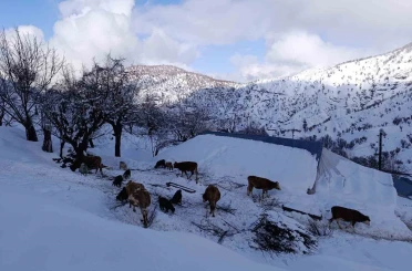Batman’da mart ayında kar yağışı etkili oldu 