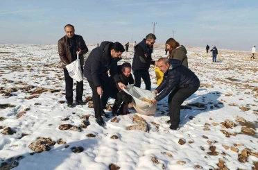 Batman’da yaban hayvanları için doğaya yem bırakıldı 