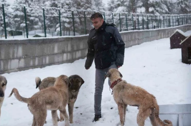 Battalgazi’de Malatya’nın ikinci hayvan barınağı hizmete başladı 