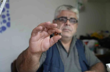 Bayburtlu kehribar ustası işlediği taşta milyonlarca yıllık böcek fosili buldu 