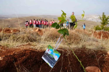 Bayburt’ta 97 bin 620 fidan toprakla buluşturuldu 