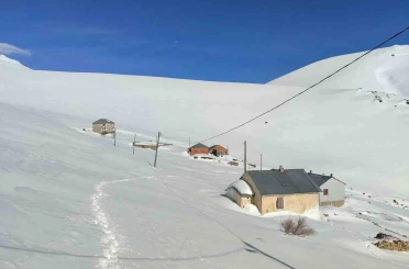 Bayburt’ta ayı saldırılarının yaşandığı yaylada ulaşım sorunu sürüyor 