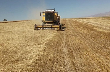 Bayburt’ta besici ve yetiştiricilere yemlik arpa satışı yapılacak 