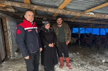 Bayburt’ta hayvancılığa yeni başlayan üreticilere destekler sürüyor 