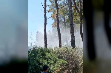 Bayındır’da orman yangını kontrol altında 