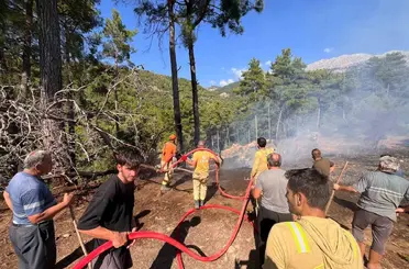 Beşkonak’ta kopan enerji nakil hattı orman yangınına neden oldu
