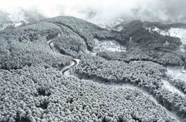 Beyaz örtüyle Uludağ’ın virajları görsel şölene dönüştü 