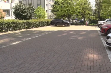 Beylikdüzü’nde başıboş köpekler vatandaşı kovaladı 