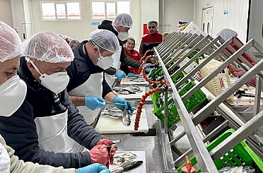 Beyşehir’de su ürünleri istihdamı güçleniyor