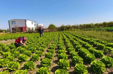 Beyşehir’de bitkisel üretim takip altında 