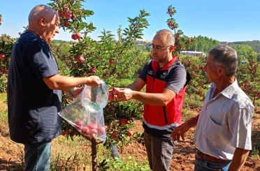 Beyşehir’de hasat öncesi pestisit denetimleri 