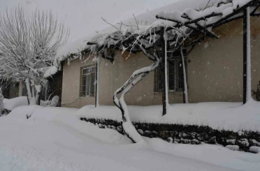 Beytüşşebap ve Uludere ilçelerinde kar yağışı etkili oldu 