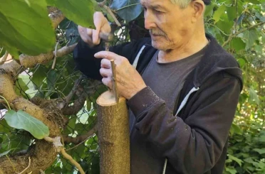 Bilecik huzurevinde kalan yaşlılar bahçeyi güzelleştiriyor 