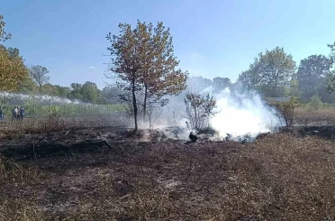 Bilecik Pazaryeri’nde arazi yangını çıktı 