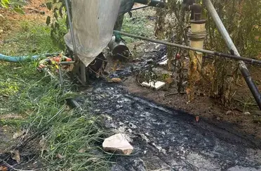 Bilecik’te çalılık yangını büyümeden söndürüldü
