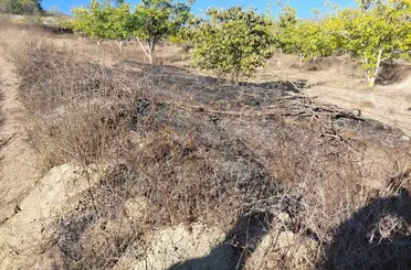 Bilecik’te ceviz bahçesinde çıkan yangın söndürüldü
