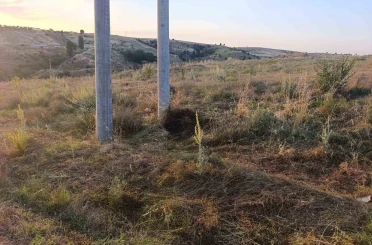 Bilecik’te elektrik akımına kapılan kuş yangına sebep oldu 