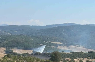 Bilecik’te ormanlık alandaki yangın kontrol altına alındı 