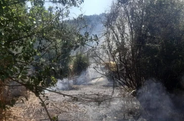 Bilecik’te otluk alanda yangın çıktı 