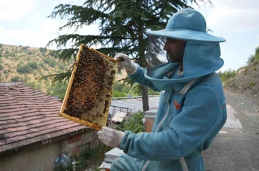 Bin 200 çeşit endemik bitki türüyle 4 kuşaktır süren gelenek: Kanyon balında 4 tonluk rekolte 