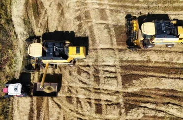 Bin dönümde yaklaşık 6 milyon lira maliyeti bulan tescilli Karacadağ pirincinde hasat zamanı 