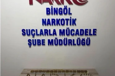 Bingöl’de 600 fişek ele geçirildi: 1 tutuklama 