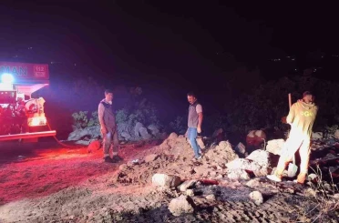 Bingöl’de çıkan orman yangınları kontrol altına alındı 