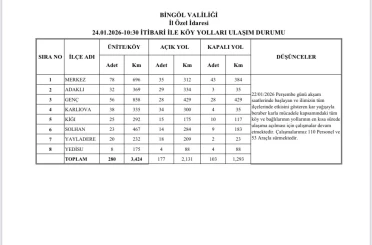 Bingöl’de karla mücadele sürüyor: 177 köy yolu ulaşıma açıldı 