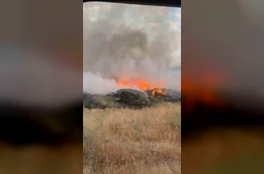 Bingöl’de orman yangını 