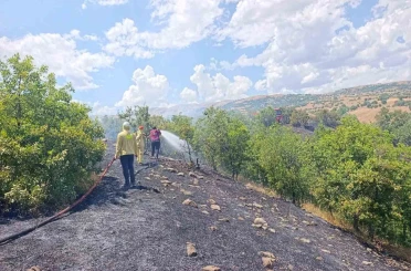 Bingöl’de orman yangını büyümeden söndürüldü 