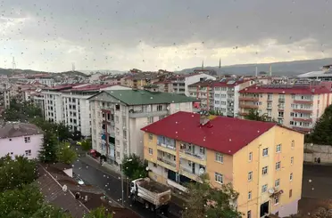 Bingöl’de sağanak yağış etkili oldu
