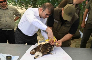 Binlerce leylek yuvası, yüzlerce mama kabı: Doğa dostu projeler 