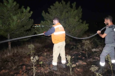 Bir kuş çam ormanlarını alevlerin eşiğine getirdi: Yangın büyümeden söndürüldü 