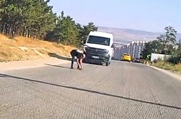 Bir yandan koştu, bir yandan diğer sürücüleri uyardı: Kaplumbağayı ezilmekten kurtardı 