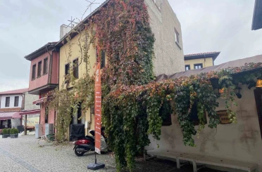 Bitkiler ile kaplanan tarihi yapı kartpostallık manzara oluşturuyor 