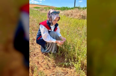 Bitkisel üretimde kalitenin arttırılması için çalışmalar sürüyor 