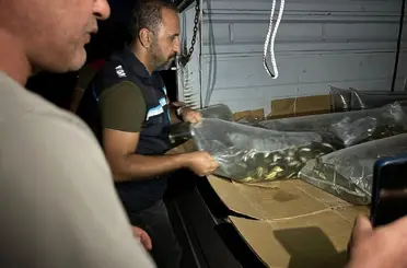 Bitlis’te göl ve göletlere 1 milyon 397 bin 500 yavru sazan bırakıldı