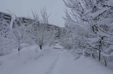 Bitlis’te kar esareti, 229 köy yolu ulaşıma kapalı 