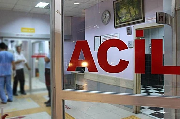 Böcek ilaçlaması paniğe neden oldu