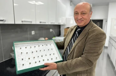 Böcekler cinayetleri aydınlatıyor: Ölüm zamanı ve olay yeri entomolojiyle belirlenebiliyor 