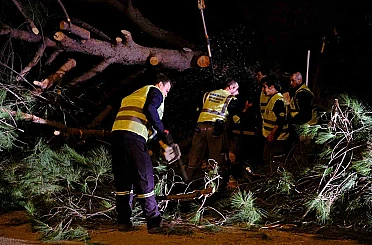 Bodrum Belediyesi fırtına dinlemedi 