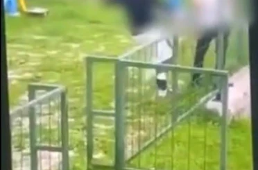 Bodrum’da akran zorbalığı: Çocuğu feci şekilde darbederek bayılttı 