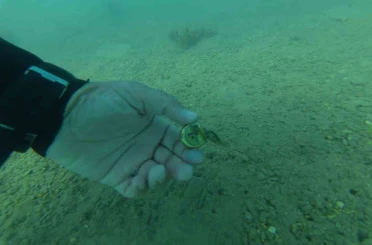 Bodrum’da deniz dibinden çıkanlar şaşırttı: Torba sahilinden 75 kilo atık çıkarıldı 