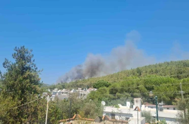 Bodrum’da orman yangını başladı 
