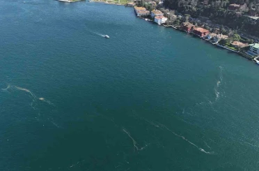 Boğaz’da alarm veren görüntü: Kirlilik denizanasını yüzeye çıkardı 