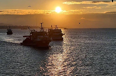 Boğaz’da fırtına sonrası balıkçılar yeniden denize açıldı 